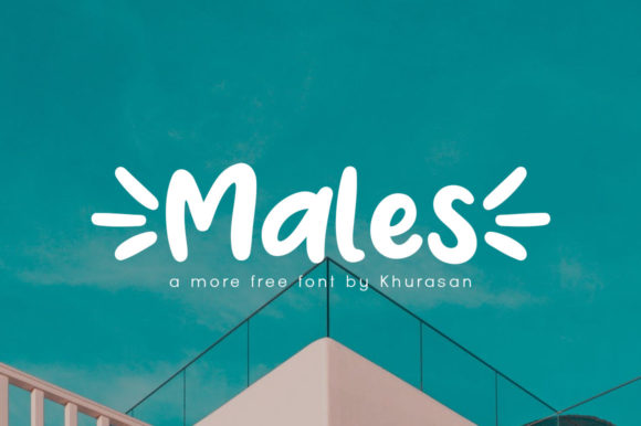 How Males Modern Display Font Clarifies Your Campaign Message